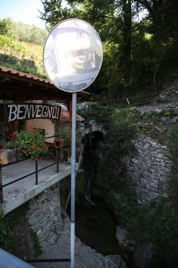Villa A Cà Du Barbijum à Pieve di Teco Extérieur photo